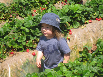 f0068883_13501917.jpg