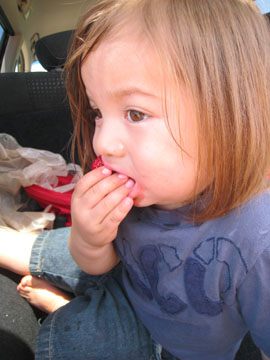 f0068883_1357851.jpg