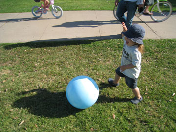 f0068883_1463957.jpg