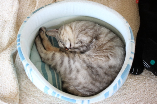 そんな日もあるよね