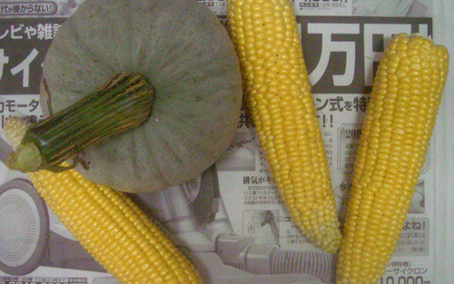b0099994_11154192.jpg