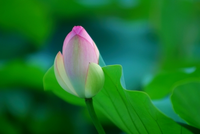 f0201297_4224185.jpg
