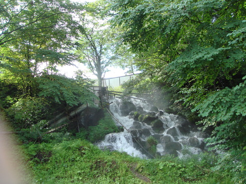 f0013998_9402984.jpg