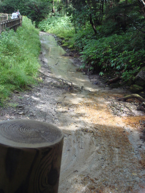 f0013998_9423869.jpg