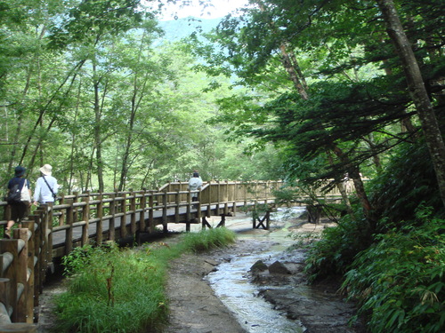 f0013998_9424975.jpg