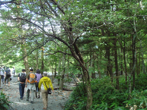 f0013998_9425982.jpg