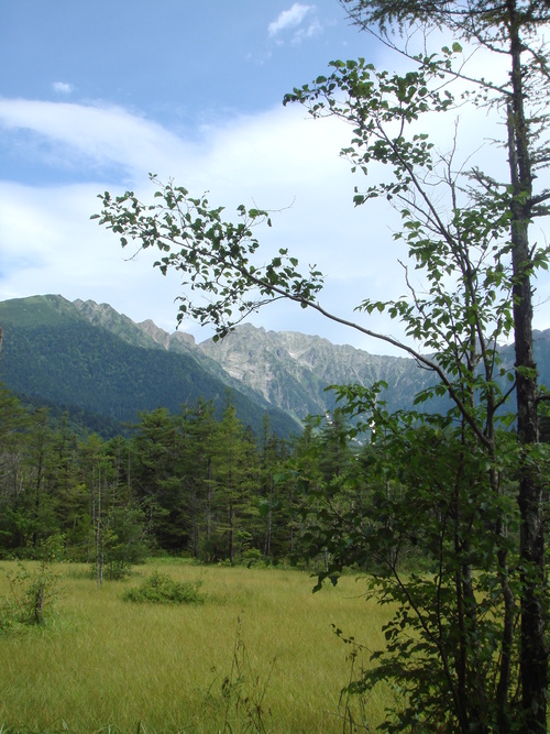 f0013998_9441375.jpg