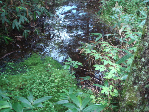 f0013998_9445736.jpg