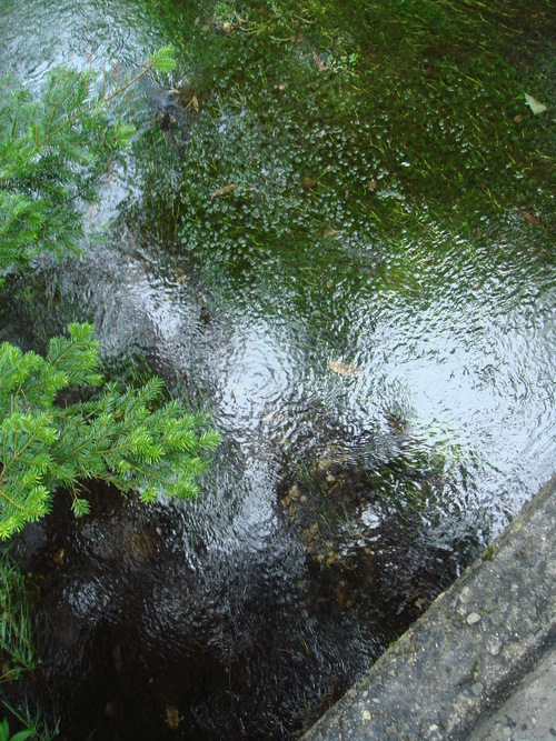 f0013998_9451286.jpg