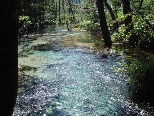 f0013998_946128.jpg