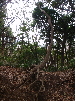 e0077899_8113482.jpg