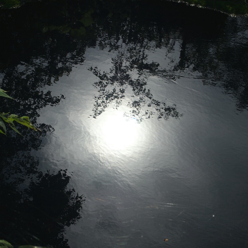 f0236201_9203082.jpg