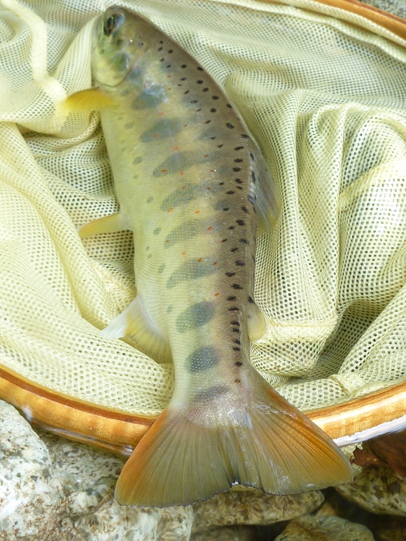 b0229003_15171310.jpg