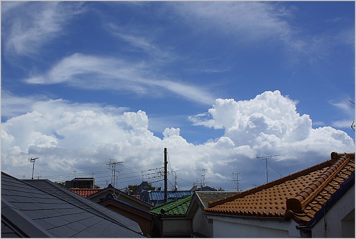 e0117503_1446536.jpg