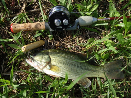 c0023804_103676.jpg