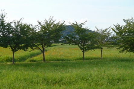 f0221708_23025.jpg