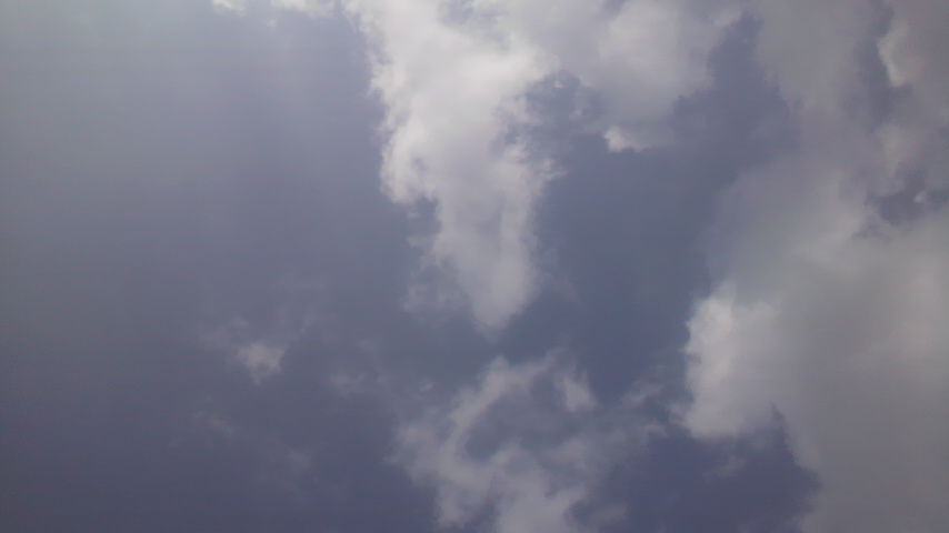 c0048121_8192419.jpg