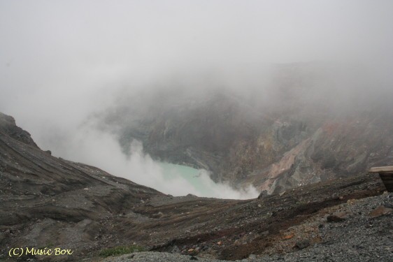 c0071221_1031062.jpg