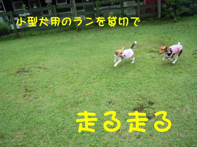 c0166622_105428.jpg