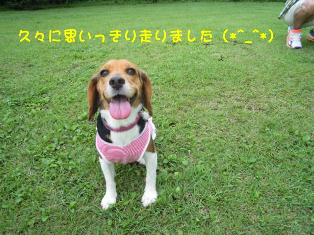 c0166622_106287.jpg