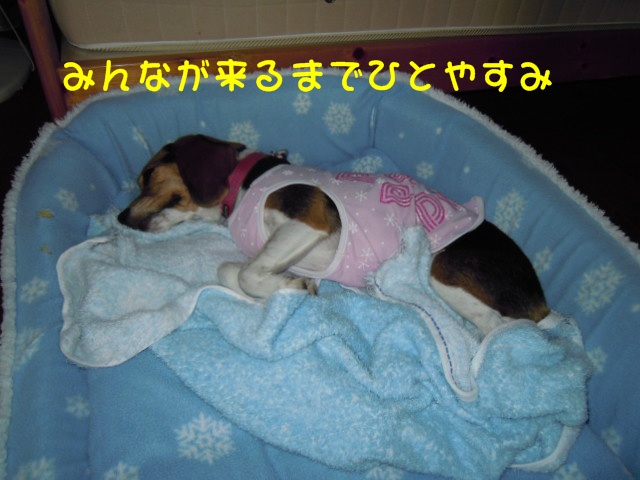 c0166622_1065272.jpg