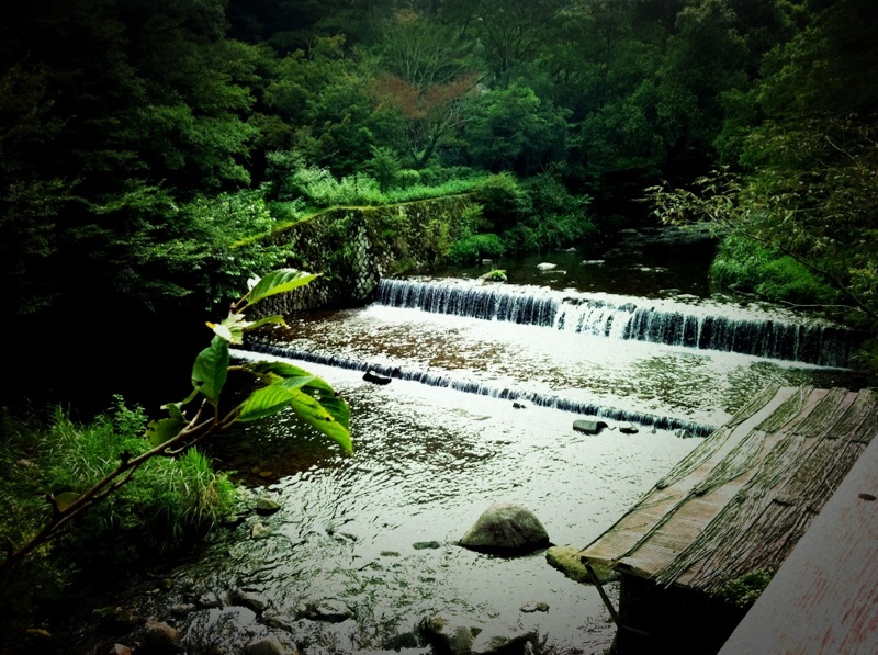 d0008832_20583198.jpg