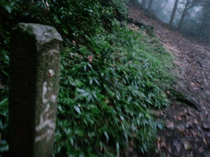 c0108034_14464943.jpg