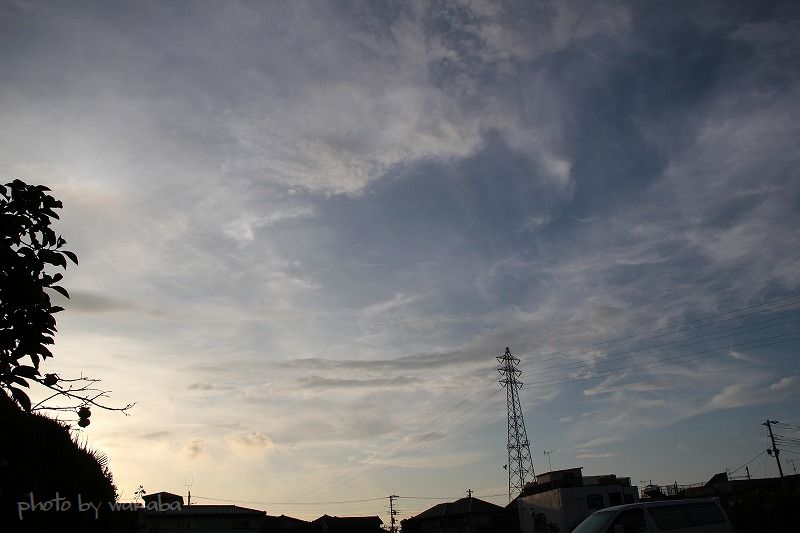e0052135_17532250.jpg