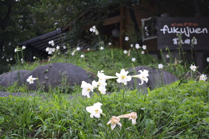 e0228938_20154011.jpg