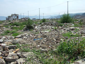 d0000845_15425292.jpg