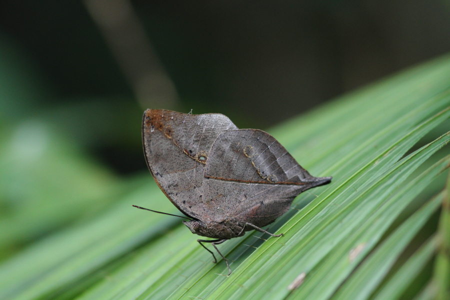 a0094850_1943460.jpg