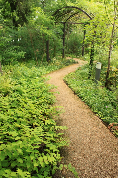 e0028650_2225616.jpg