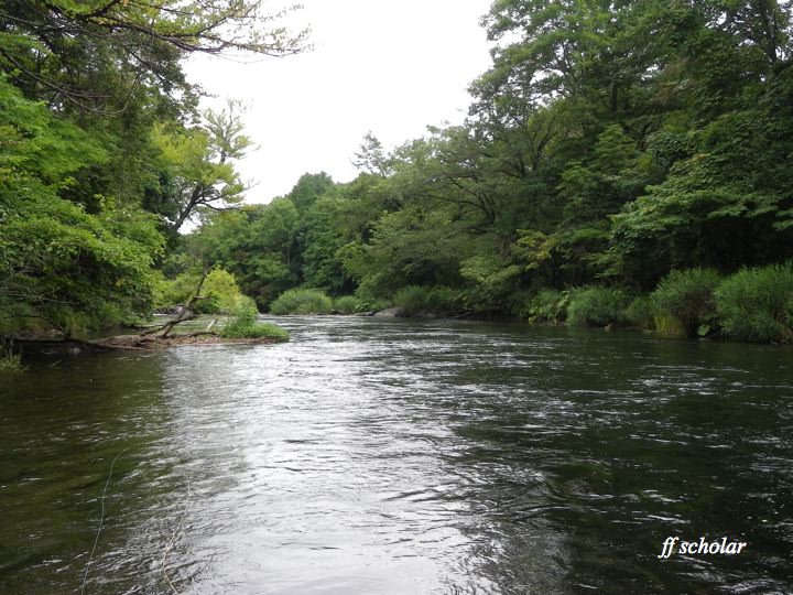 e0212759_21572770.jpg
