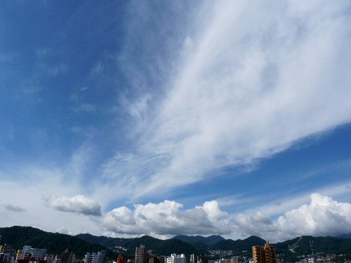 d0084473_20343873.jpg