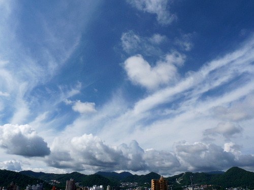 d0084473_2035061.jpg