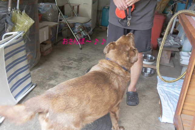 c0163878_157365.jpg