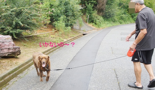 c0163878_158337.jpg