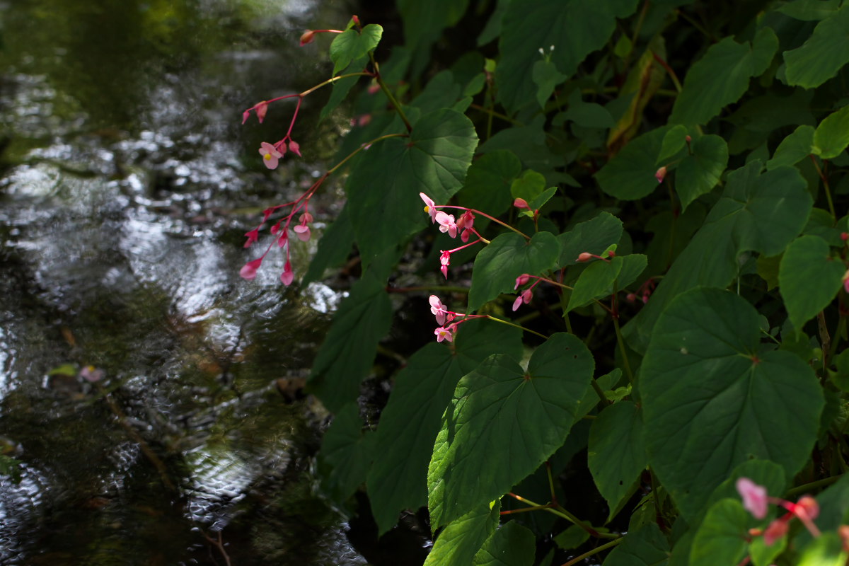 a0083081_1925720.jpg