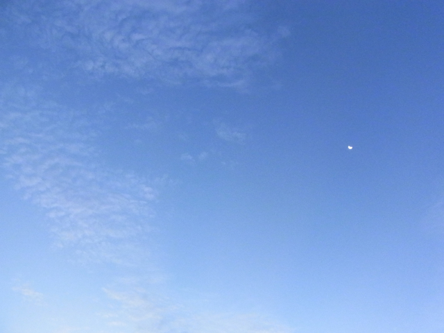 c0122788_14113452.jpg