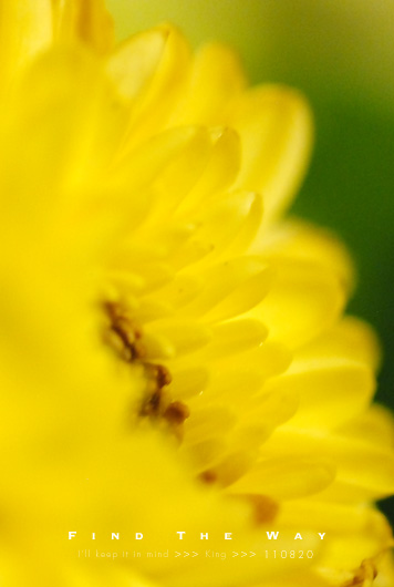 f0054594_614290.jpg