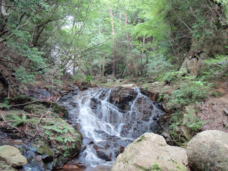 b0039898_8514446.jpg