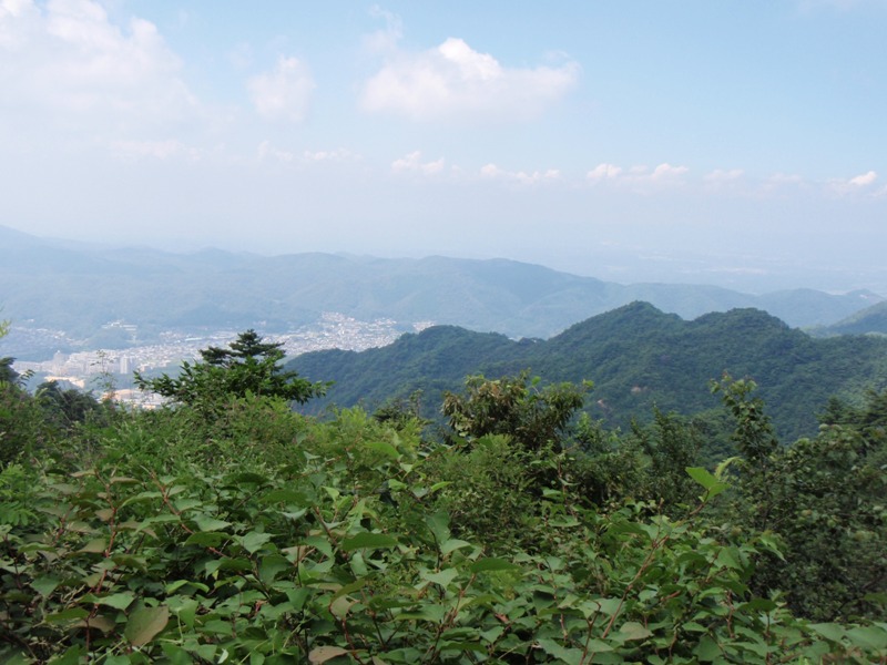 b0039898_8522227.jpg