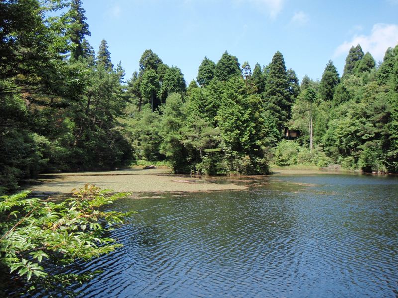b0039898_852628.jpg