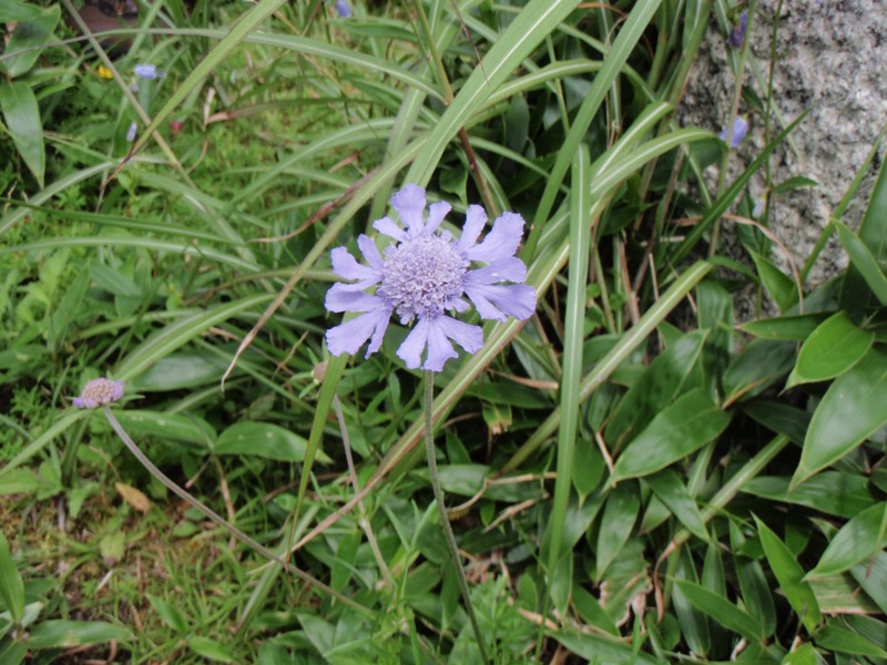 b0039898_95436.jpg