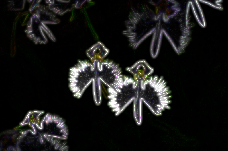c0187503_23483529.jpg