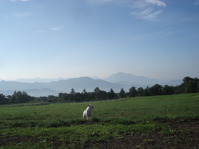 b0148106_9184555.jpg