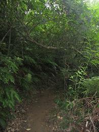 f0232107_10241814.jpg