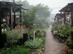 c0190010_2134560.jpg