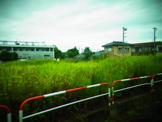 b0183911_1231057.jpg