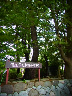 b0183911_1322376.jpg